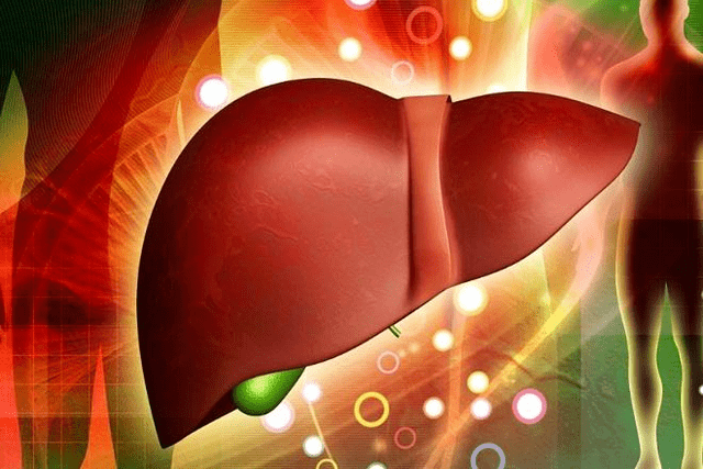 het effect van geneesmiddelen voor potentie op de lever
