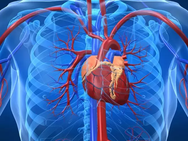 Potentieverhogende oefeningen zijn gecontra-indiceerd bij hartziekten